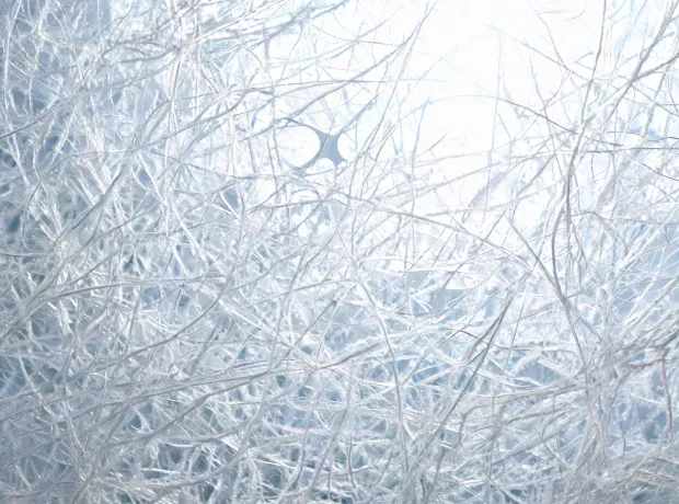 Nonwoven fiber and web structure inspection